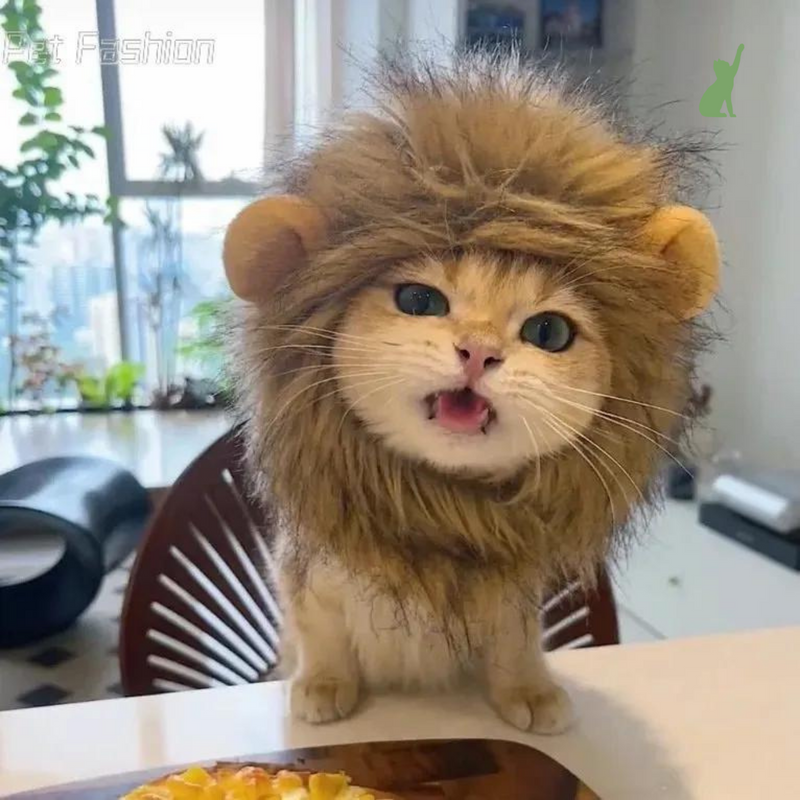 Touca para Gatos - Leãozinho
