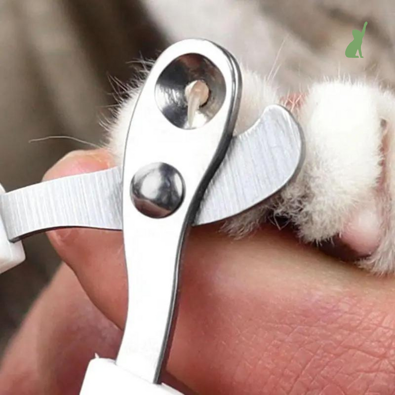 Cortador de Unhas Para Gatos