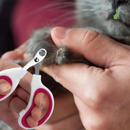 Cortador de Unhas Para Gatos