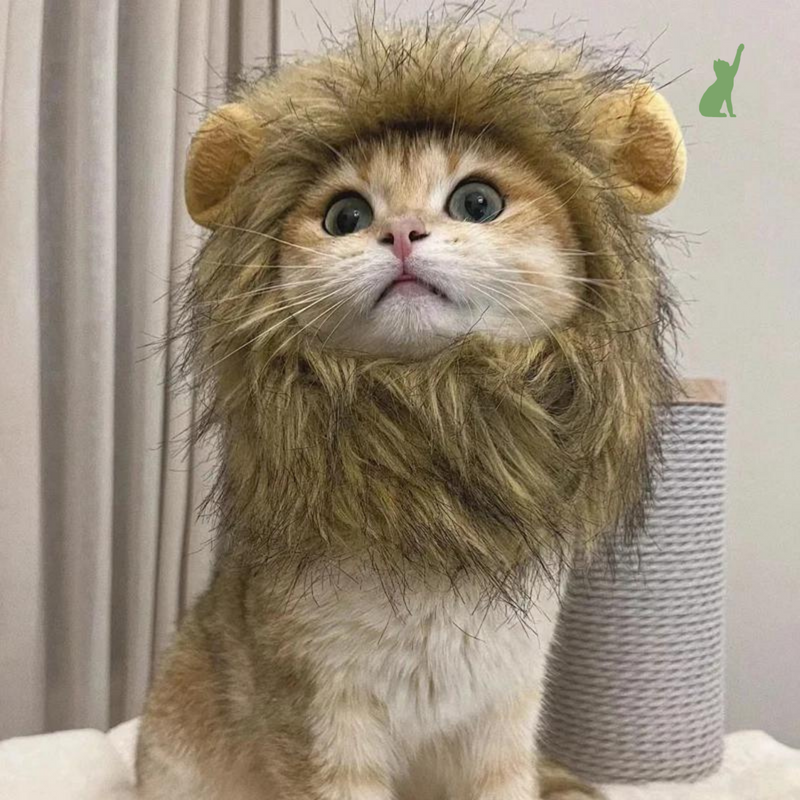 Touca para Gatos - Leãozinho