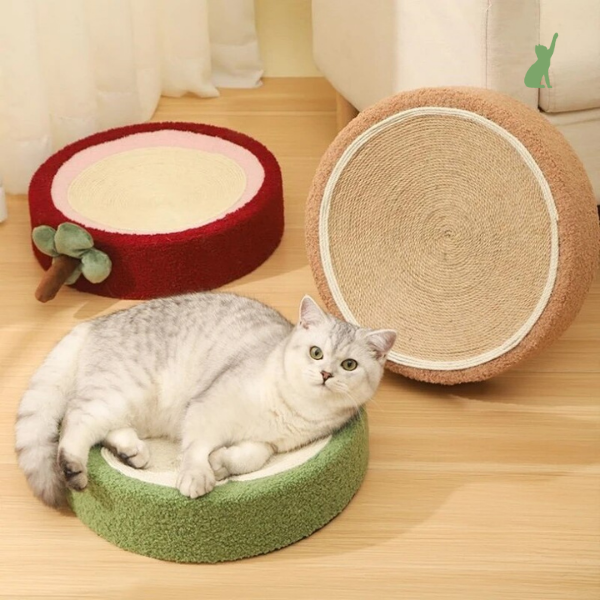Arranhador Cama para Gatos