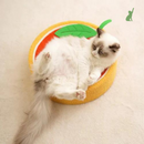 Arranhador Cama para Gatos