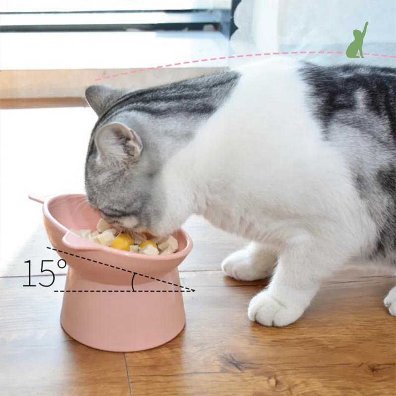 Tigela de Gato - Cat Bowl™