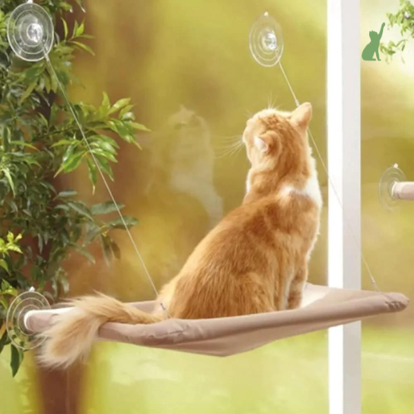 Cama de Janela Suspensa para Gatos