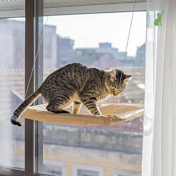Cama de Janela Suspensa para Gatos