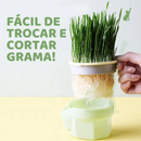 Vaso de Grama para Gatos