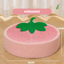 Arranhador Cama para Gatos