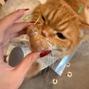 Chaveiro Memorial com Armazenamento para Pelos do seu Pet