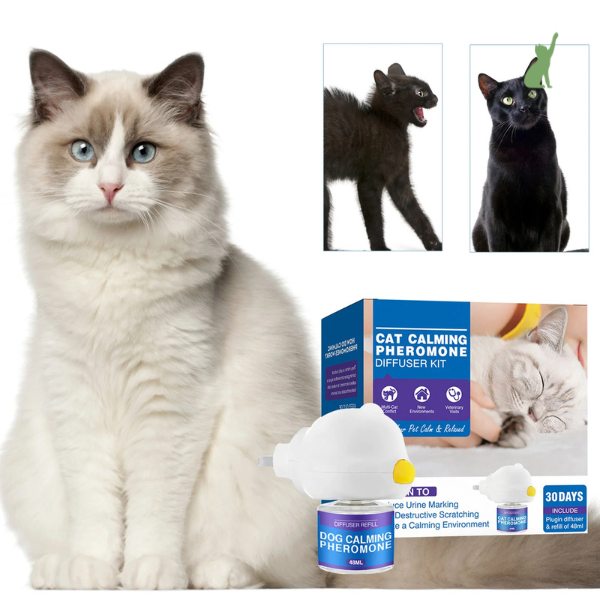 Feromônio Calmante para Gatos