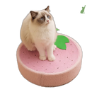 Arranhador Cama para Gatos