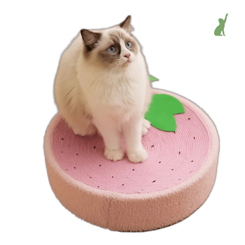 Arranhador Cama para Gatos