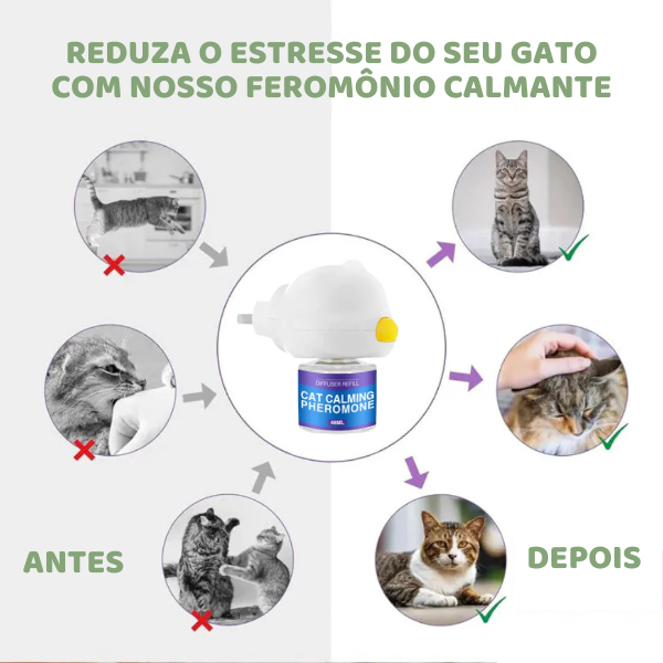 Feromônio Calmante para Gatos