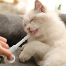 Seringa de Remédios para Pets