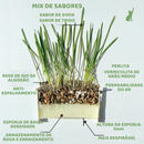 Grama Orgânica De Gato