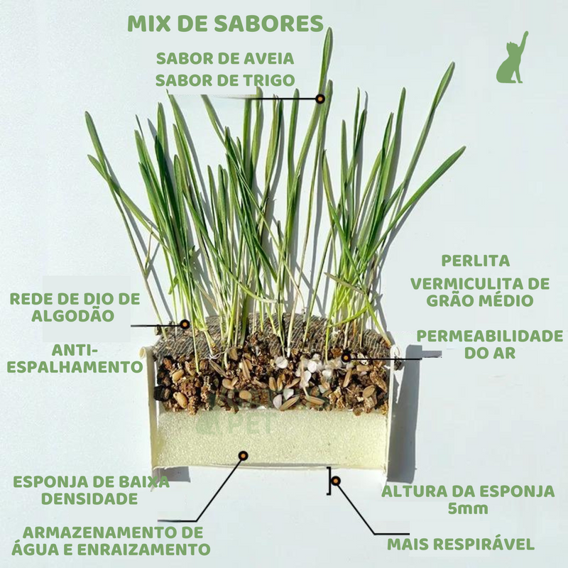Grama Orgânica De Gato