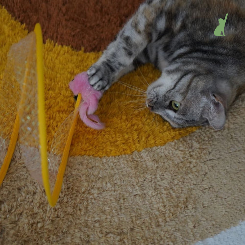 Brinquedo para Gatos TúnelCat™