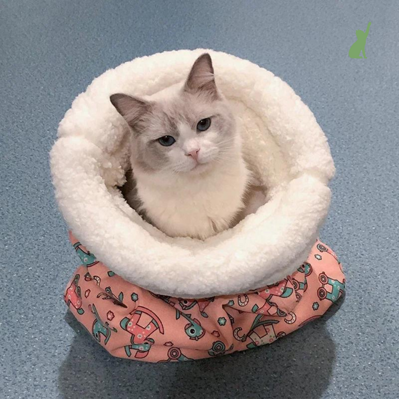 Saquinho de Dormir para Gatos