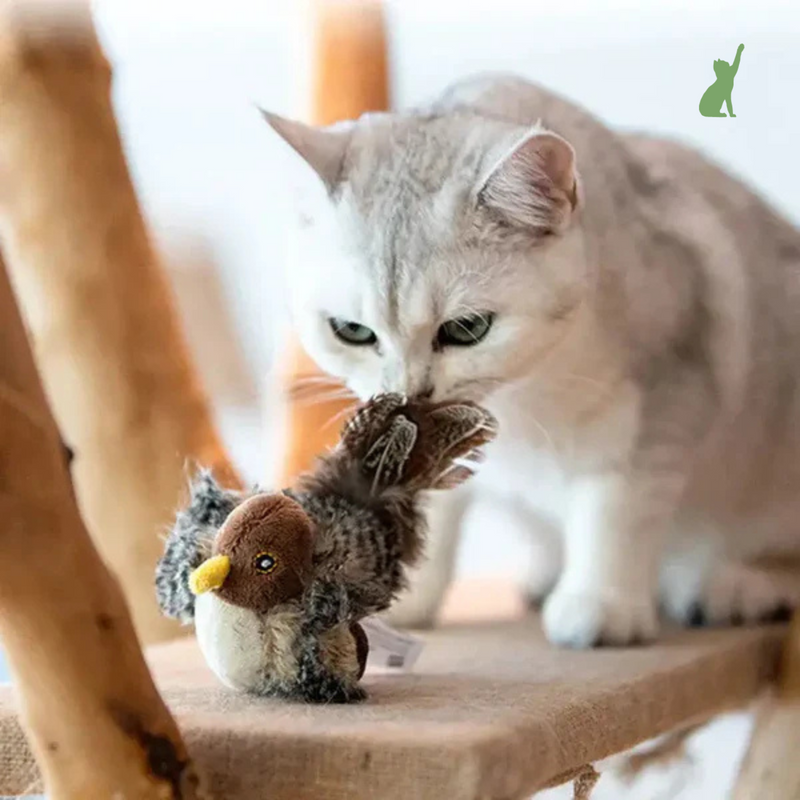 CrazyBird - Brinquedo Interativo Simulador De Pássaro Para Gatos