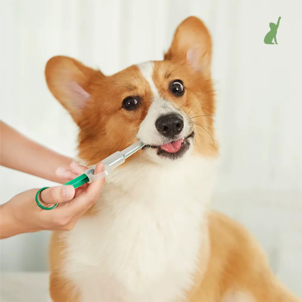 Seringa de Remédios para Pets