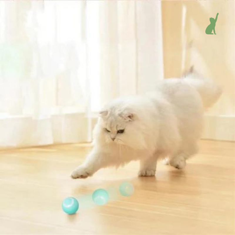 Brinquedo Bola Inteligente Elétrica para Gatos