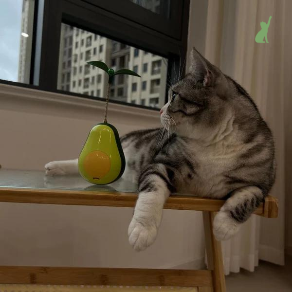 Brinquedo de Abacate 3 em 1 para Gatos