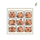 Pano Mágico de Embrulho para Gatos