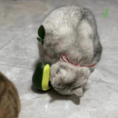 Brinquedo de Abacate 3 em 1 para Gatos