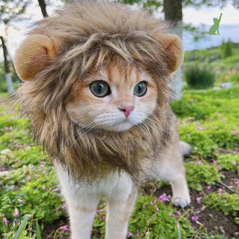 Touca para Gatos - Leãozinho