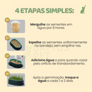 Bandeja de Grama para Gatos