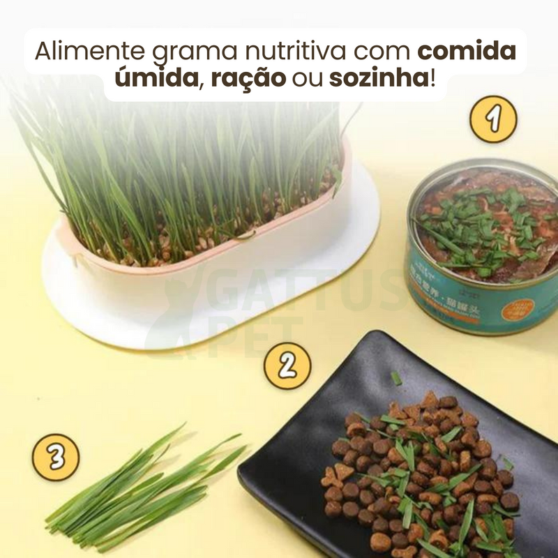 Bandeja de Grama para Gatos