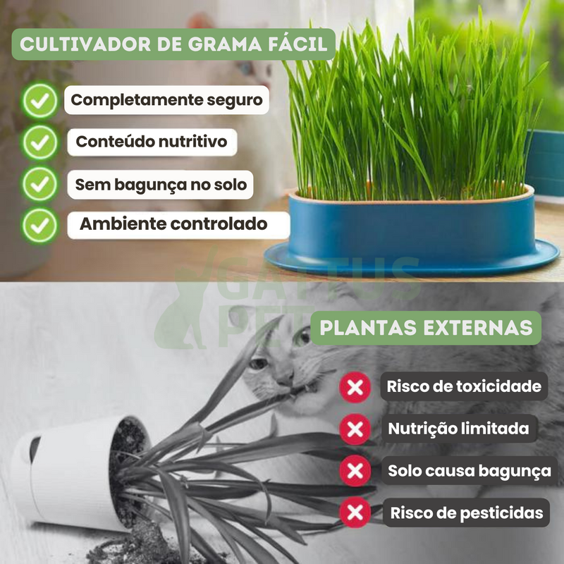 Bandeja de Grama para Gatos