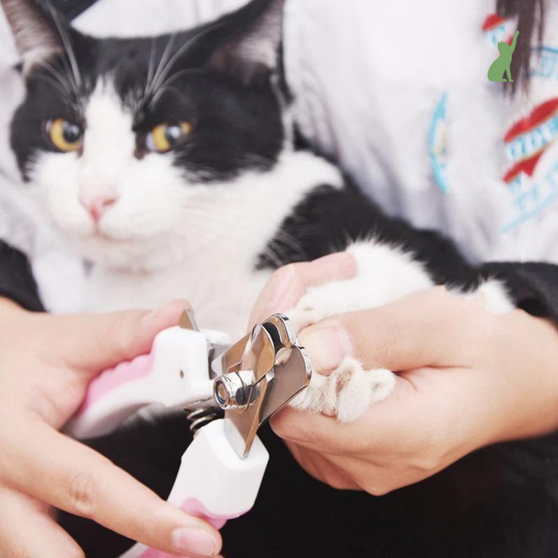 Alicate de Unhas para Cachorros e Gatos - Pet Toenail