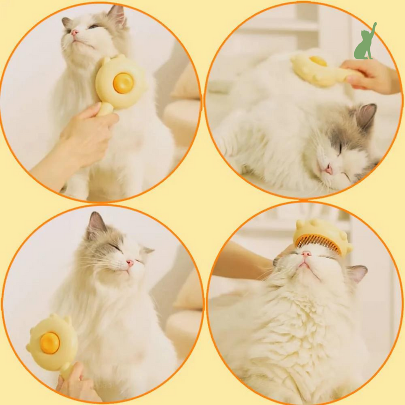 PetComb - Escova Removedora de Pelos Pet