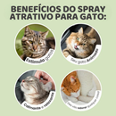 Spray Atrativo para Gatos