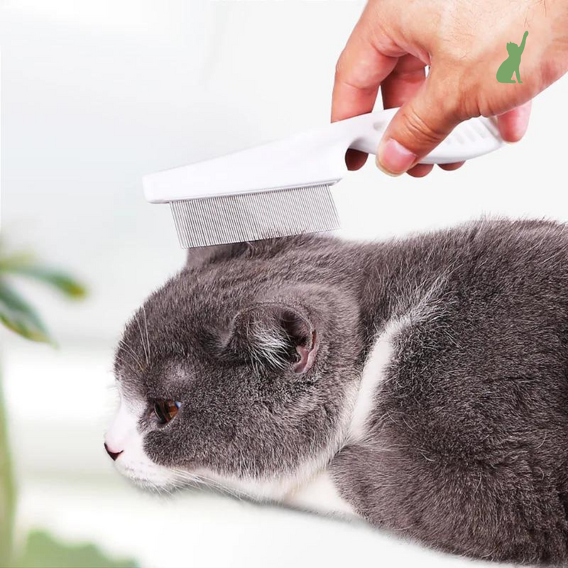 Escova pente fino para Pet