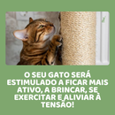Spray Atrativo para Gatos
