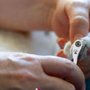 Cortador de Unhas Para Gatos - Cattus Shop